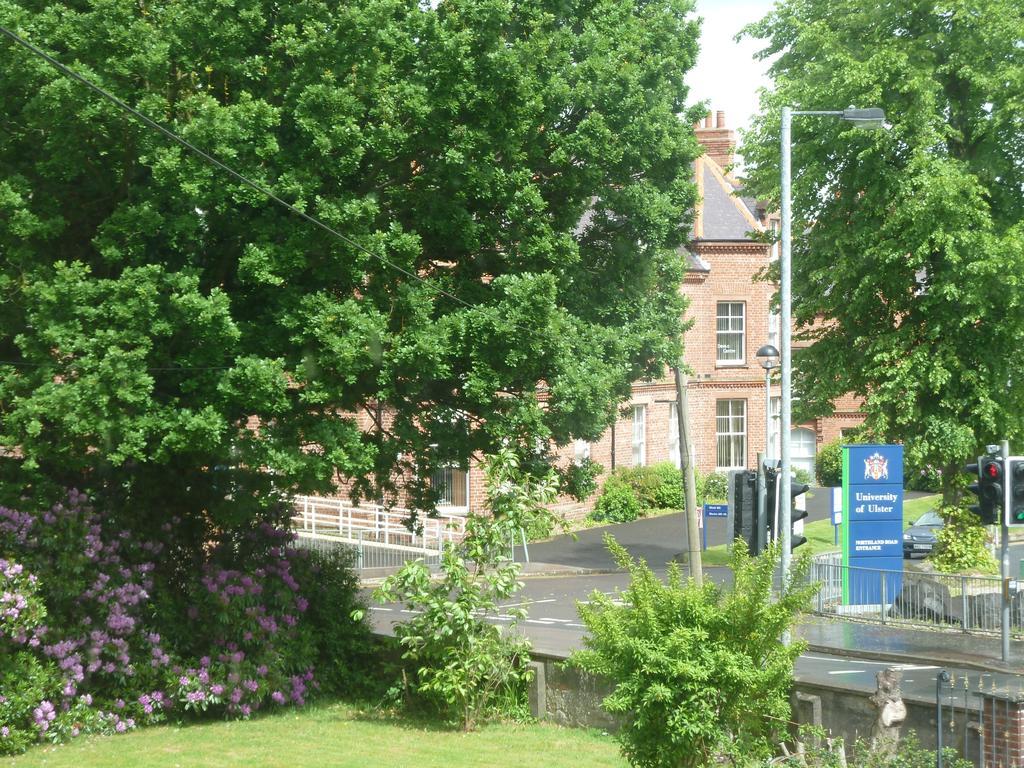 City Centre B & B Londonderry Rum bild
